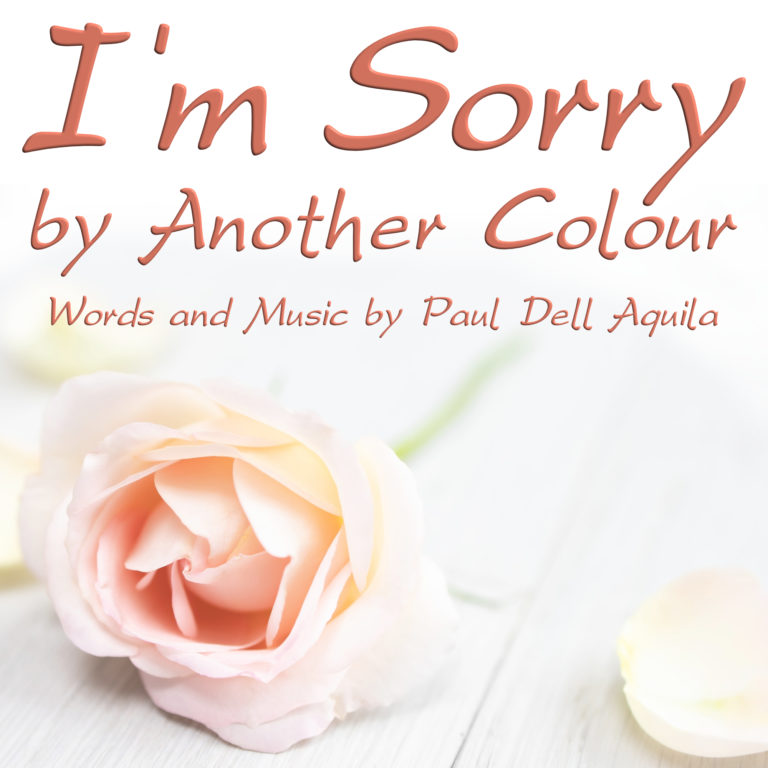 I'm Sorry by Another Colour Album Art